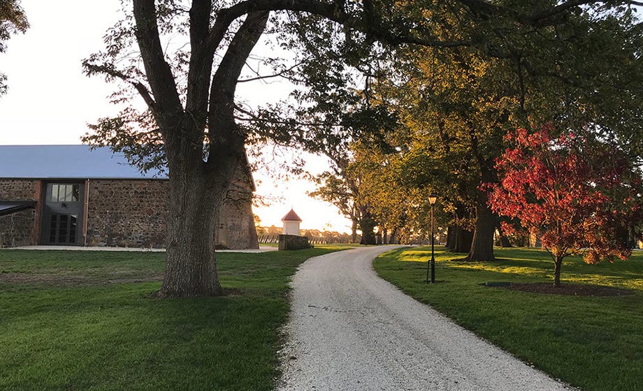 Waterton Hall Estate driveway